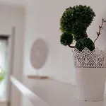 Casa Lena - Sitio Da Appartement Nazaré